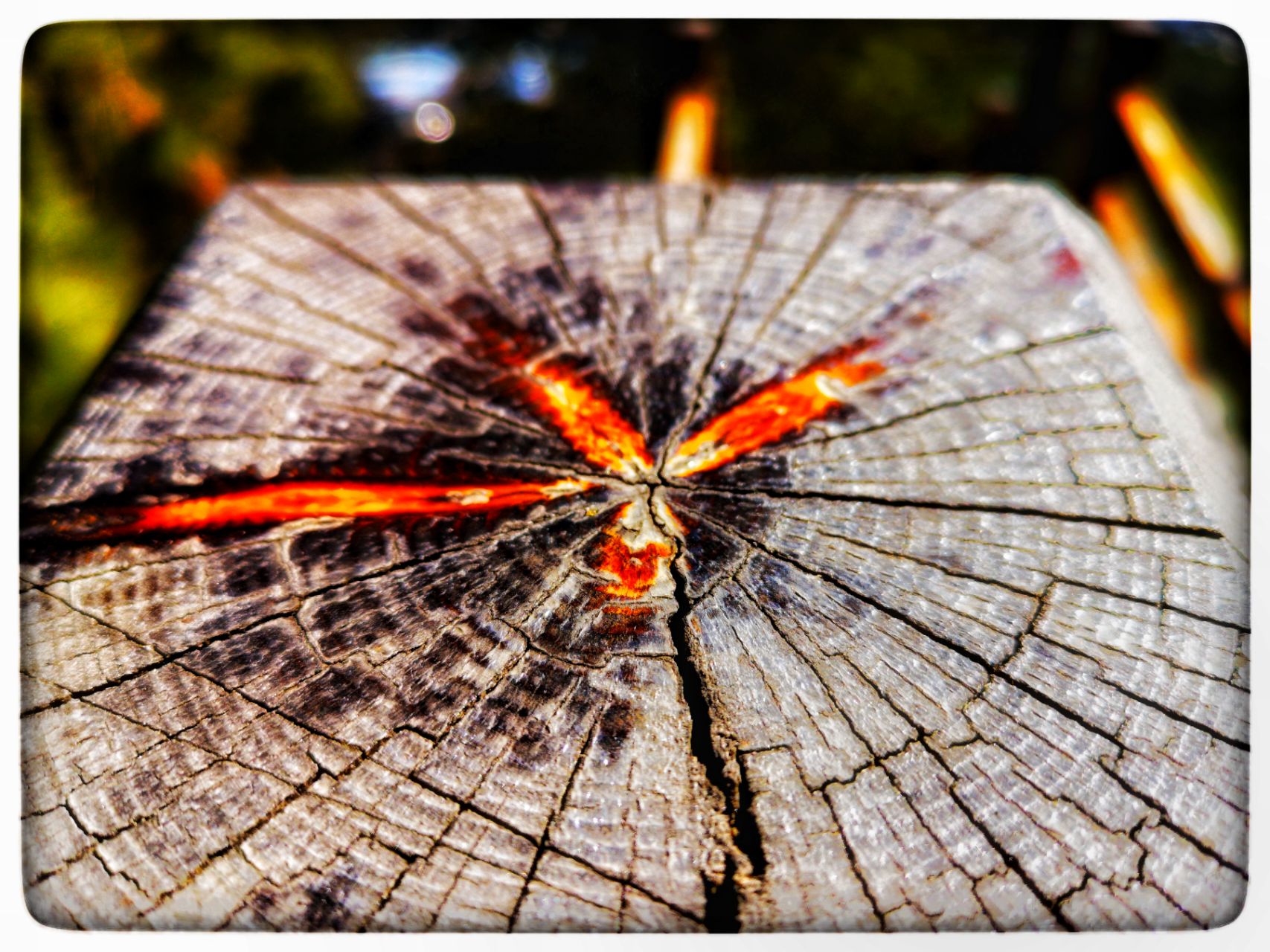 爱游戏娱乐-包含即时盘口球员突破自我，表现堪称完美的词条