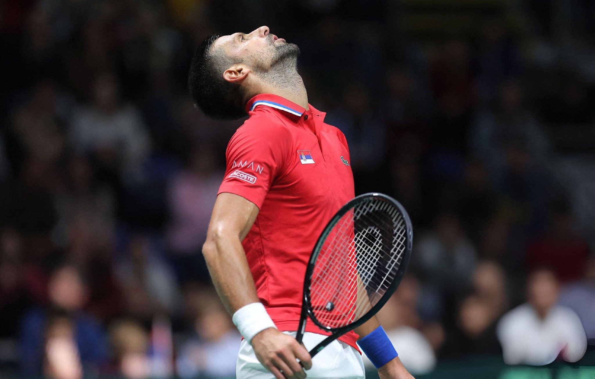 澳网力克戴维斯杯，德约科维奇统治全场