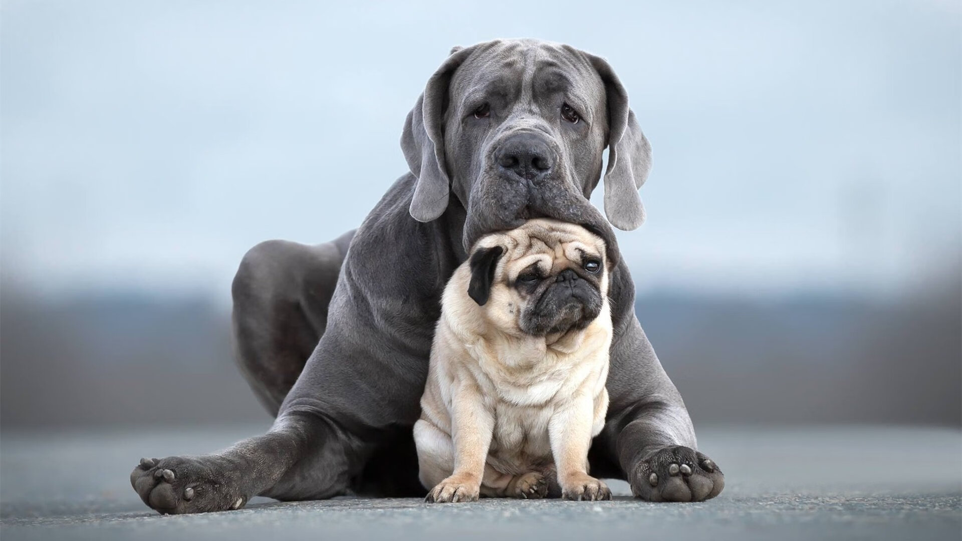 爱游戏官方-汉江畔的绿茵奇迹，姆巴佩穿越时空拯救法国足球