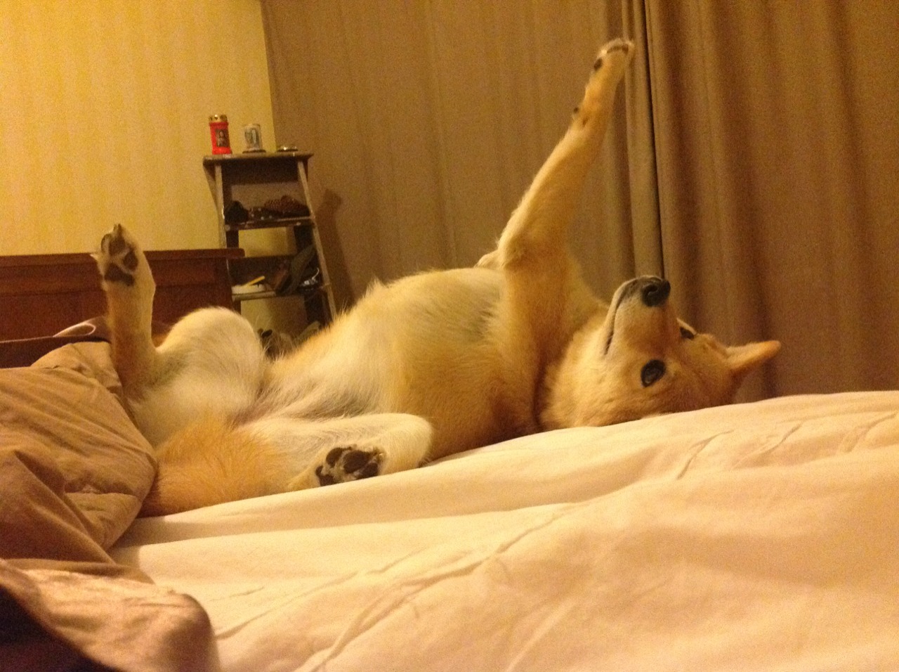 灰熊末节兽性觉醒!范弗利特连珠炮轰碎山西铁阵