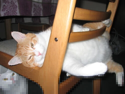 爱游戏大厅-黑色闪电撕裂沙漠防线，格纳布里上演独角戏，喀麦隆爆冷拿下沙特