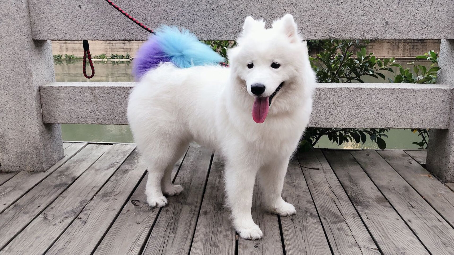 血战亚松森,本泽马一锤定音,切尔西南美远征记