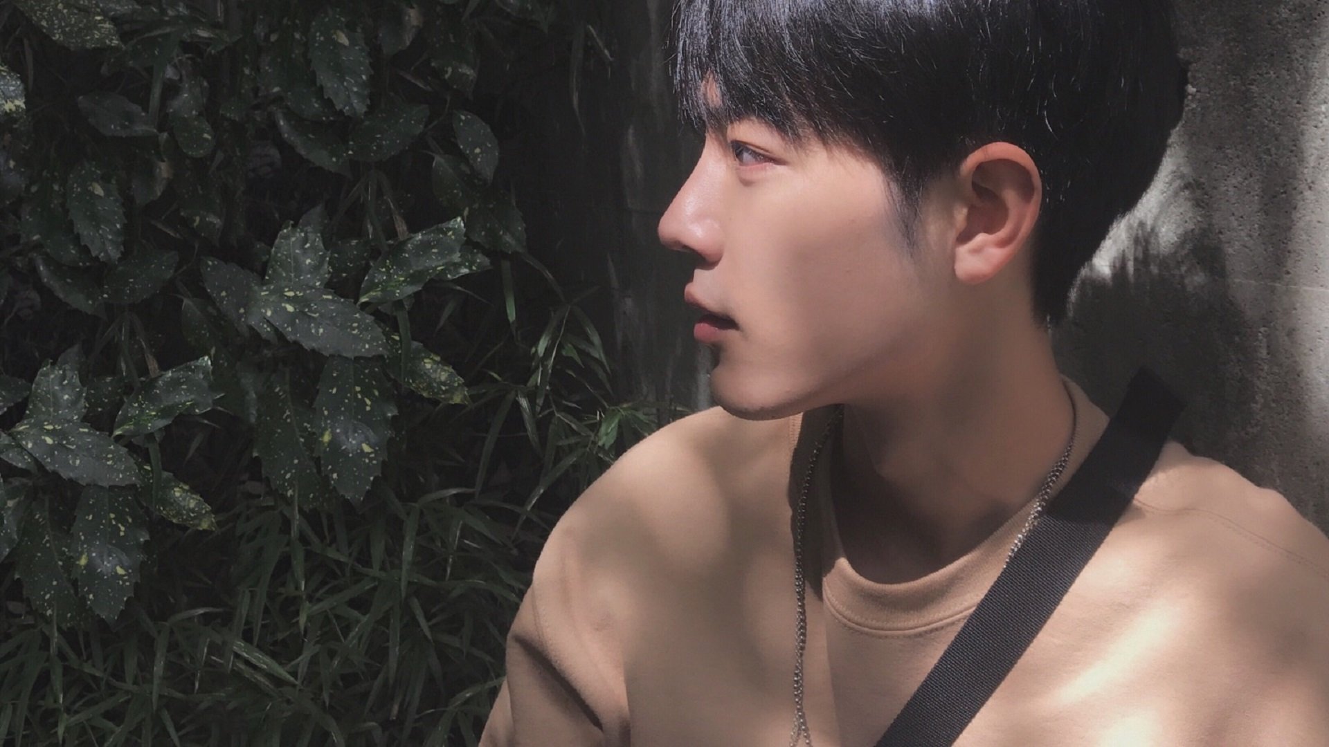 天山雪豹吞波特兰,德罗赞单骑定疆域