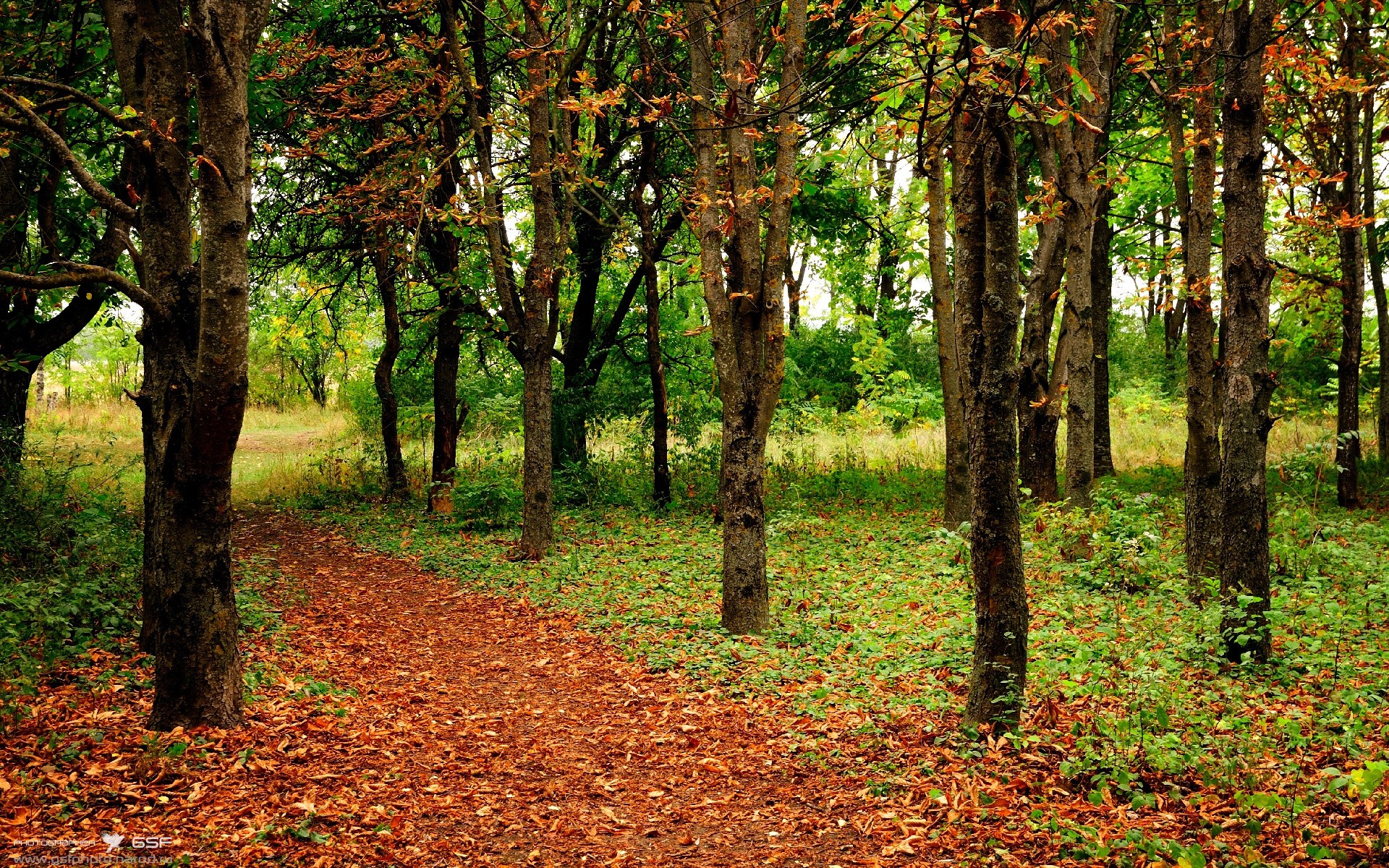打破次元壁之战，山西队铁血强压尼克斯，米切尔神迹接管世界排名争夺赛