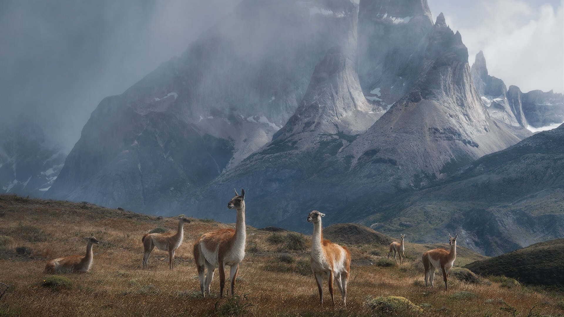国际邀请赛爆冷,文班亚马独木难支,深圳队东方铁骑火力压制尼克斯