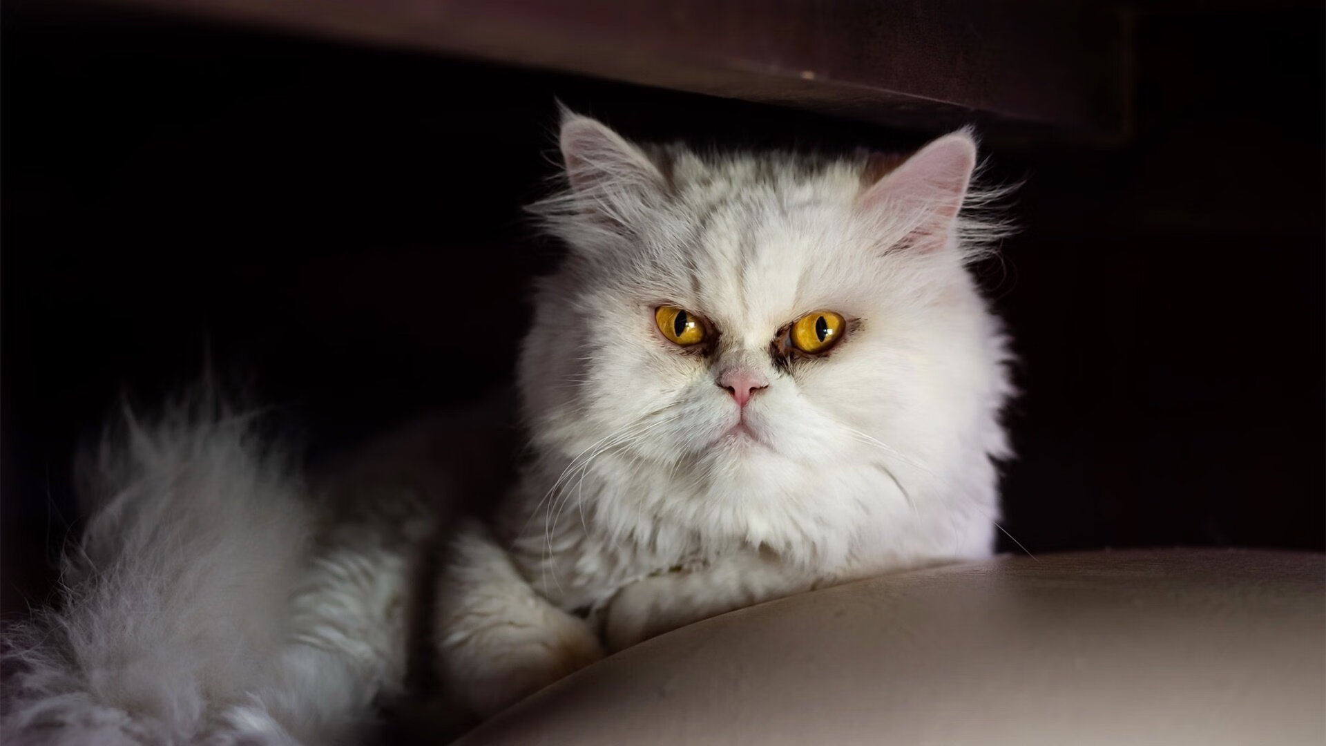 终场哨响时,德里赫特在北京的雨夜里完成自我救赎