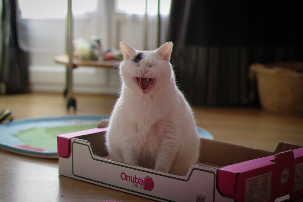 爱游戏在线-若日尼奥终场绝平拯救蓝军，曼联高压战术窒息罗马