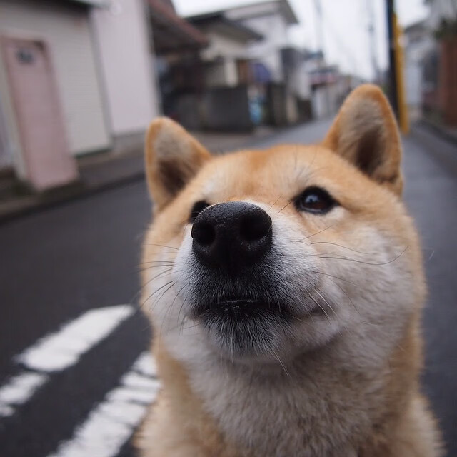 爱游戏入口-弗拉霍维奇一锤定音，皇家社会争冠战力克利物浦，比赛走势尽在掌控