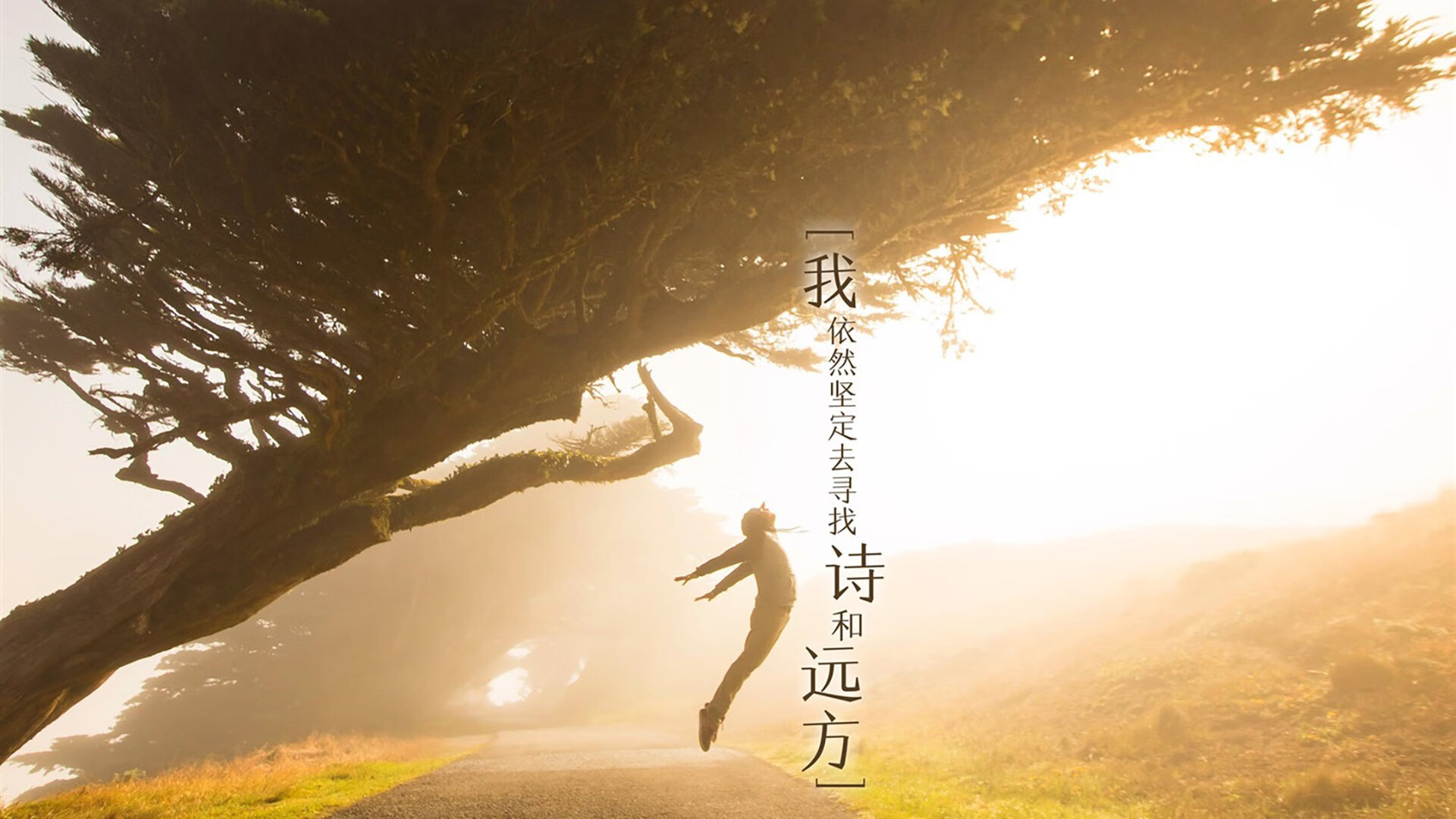 世界排名暗战,奥地利国家队收割曼城体系,战术革命颠覆传统强弱观