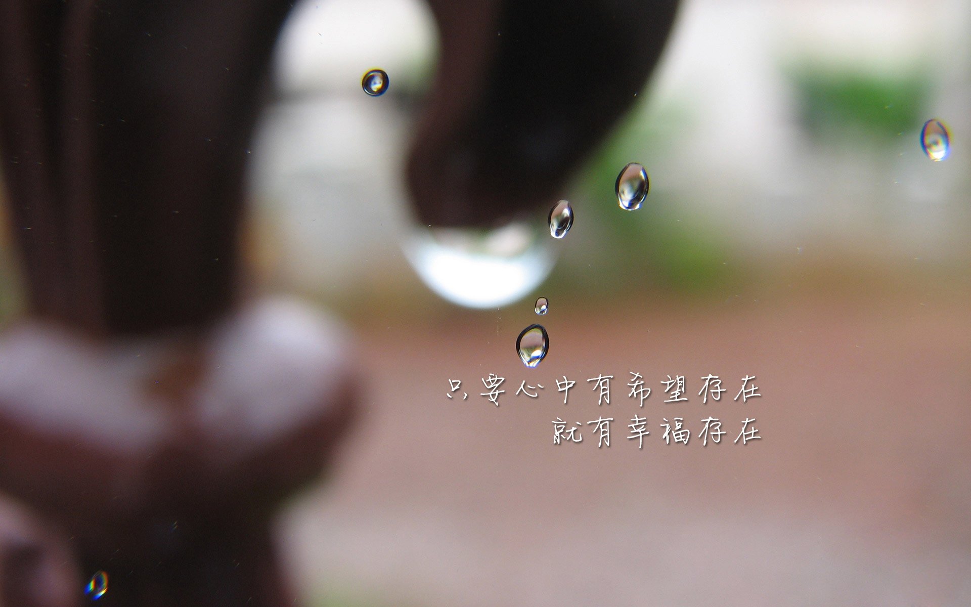致命一击—当加维的脚尖刺破波兰防线,厄瓜多尔在2026世界杯B组写下不朽诗篇