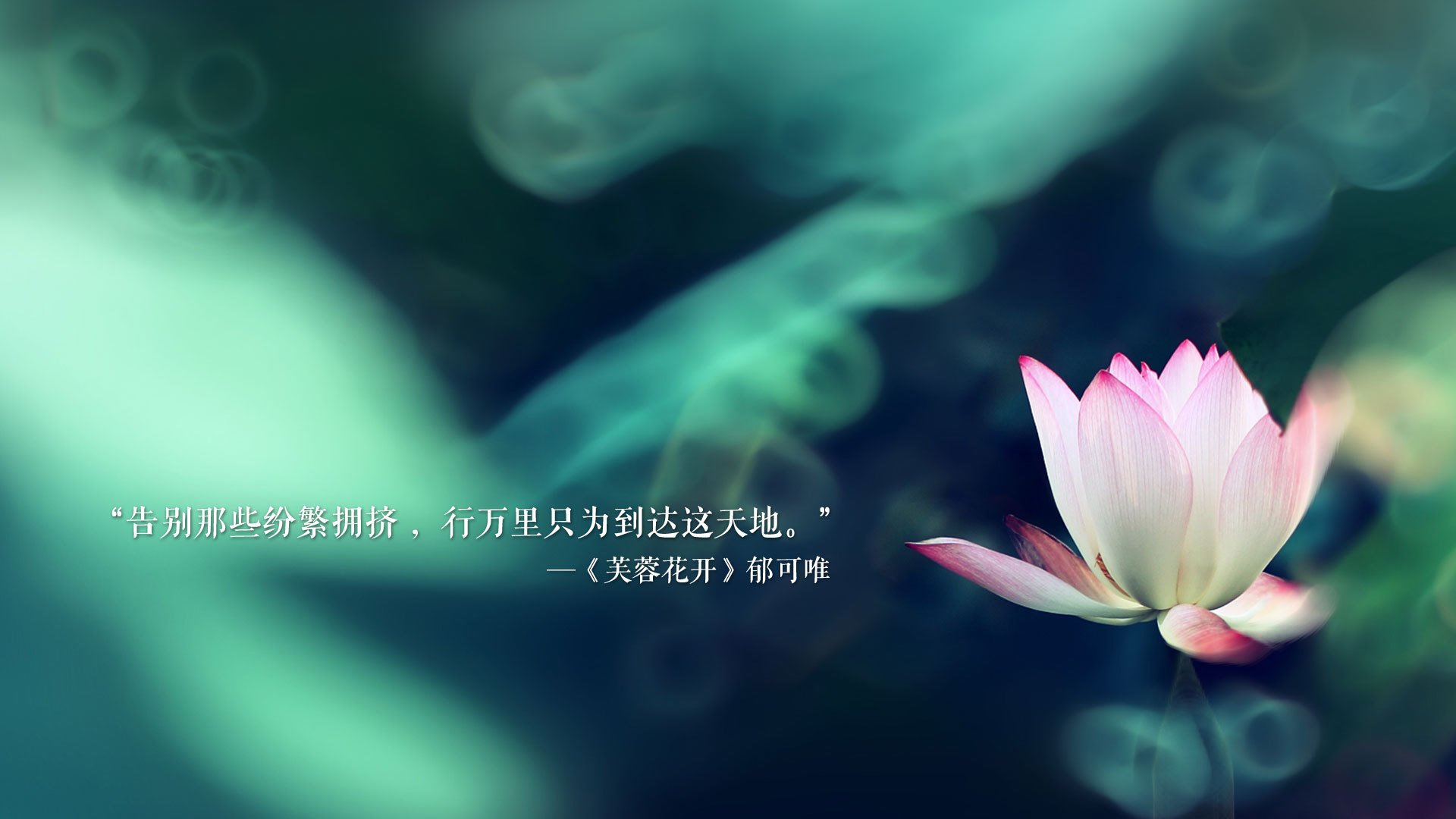 孤星闪耀,2026世界杯E组,孙兴慜以锋线利刃刺穿加纳防线,韩国一役定乾坤